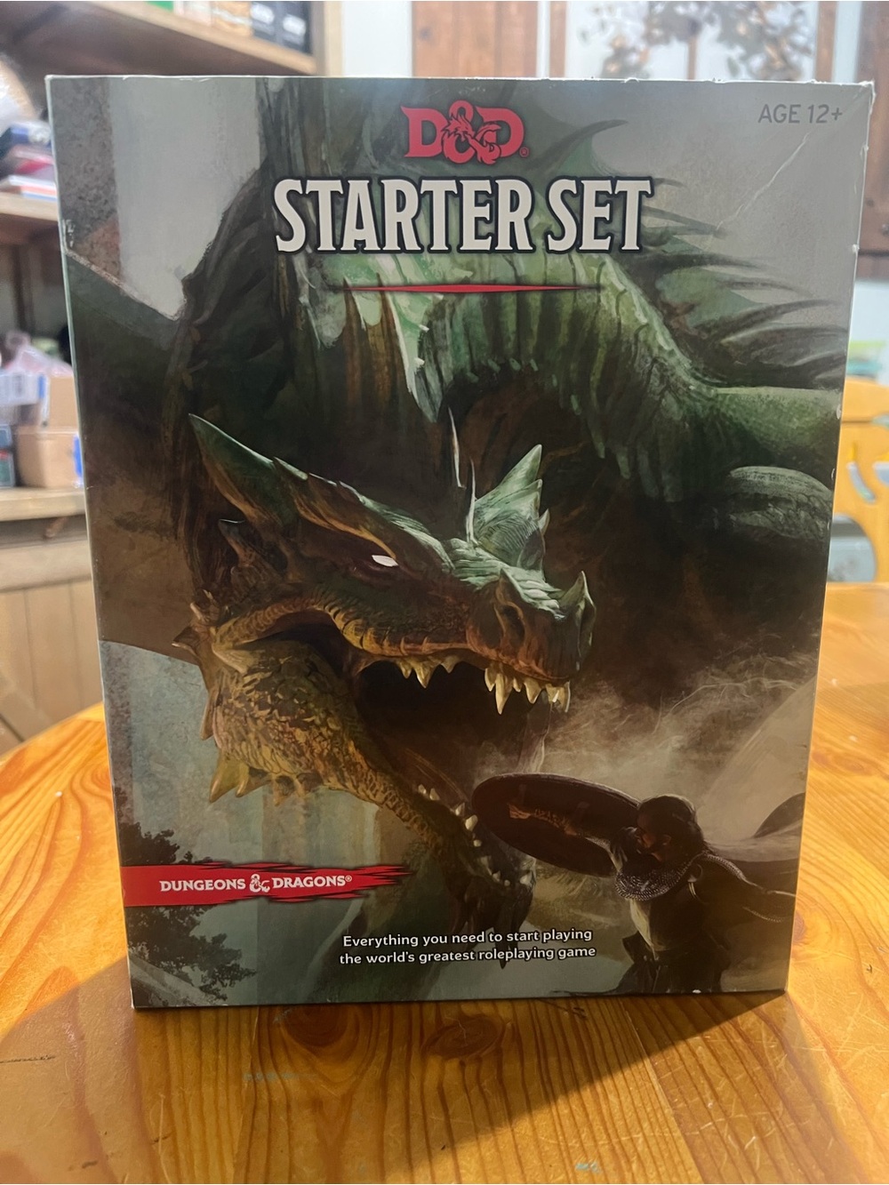 Dungeons & Dragons Starter Set - Green Dragon Artwork